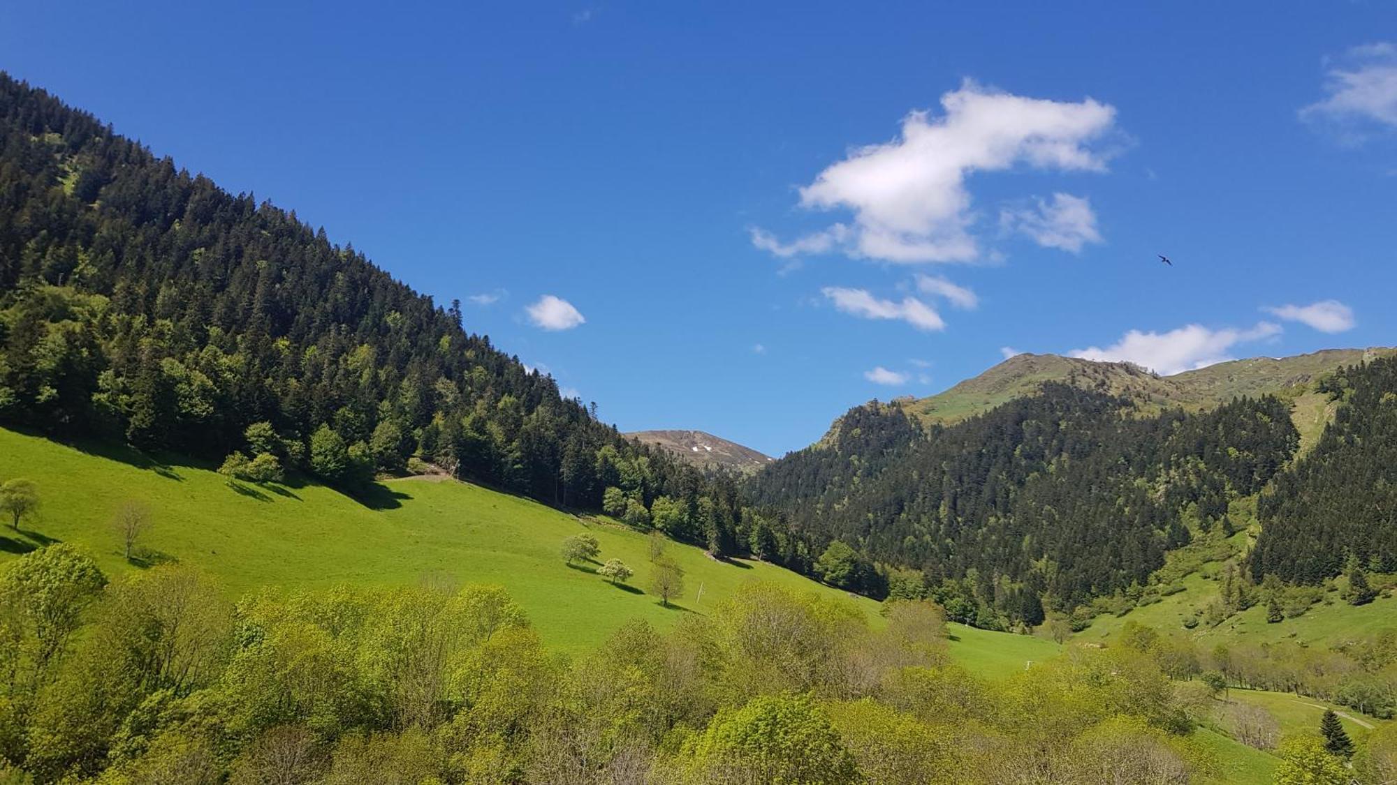 Hotel - Restaurant - Bar - Le Sapin Fleuri Bourg-dʼOueil Εξωτερικό φωτογραφία